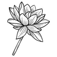 Hand Drawn Flower Lotus leafs naturals isolated sticker black botanical Line Art illustration vector