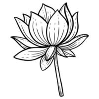 dibujado a mano flor loto hojas naturales aislado pegatina negro botánico línea arte ilustración vector