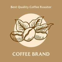 Branch of coffee with beans and leaf hand drawn  Brand illustration vector