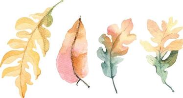 Autumn leaves collection with watercolor 1 vector