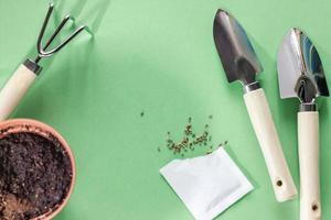 seeds of greens in a flowerpot at home. Garden tools for pot plants shovels and rake. spring gardening concept. photo