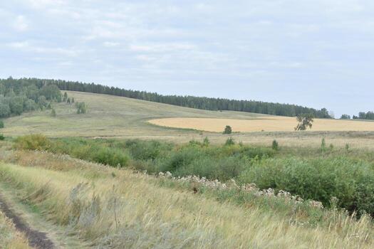 River and mountain with trees in the steppe field photo