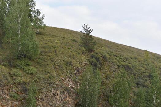 River and mountain with trees in the steppe field photo