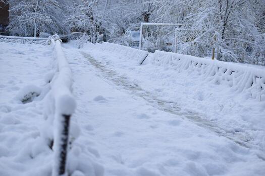 Trees in the snow after a snowfall in autumn photo