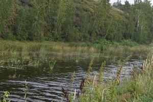 río y montaña con árboles en el campo de estepa foto