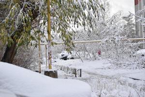 Cars in the winter in the snow after a snowfall photo