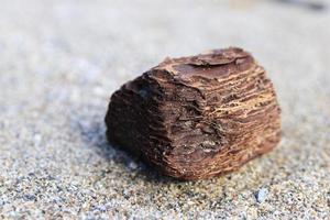 Weathered wood piece lying on sand. Macro closeup.