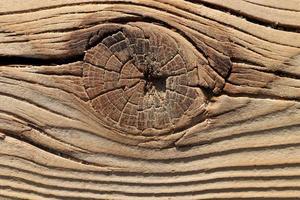 Wood texture. Wooden board background. Tree knot macro closeup. photo