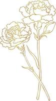 Carnation bouquet with golden lines vector