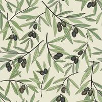 Olive seamless pattern. Hand drawn olive branch background. Retro style colored sketch drawing olive decorative texture  forvegetable, food, oil organic label, pack. vector