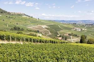 paisaje panorámico en la región de piamonte, italia. pintoresca colina de viñedos cerca de la ciudad de Barolo. foto