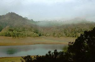 paisaje brumoso en thekkady foto