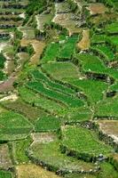 Steps cut in slope of mountains to conserve soil and facilitate cultivation photo