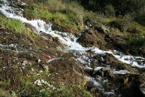 arroyo de montaña, nainital, estación de la colina foto