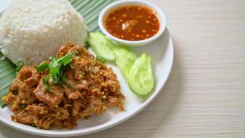 spicy grilled pork with rice and spicy sauce in Asian style video