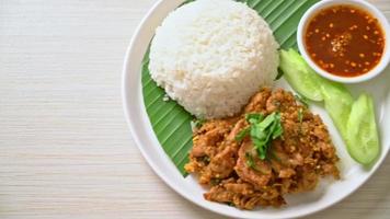 spicy grilled pork with rice and spicy sauce in Asian style video