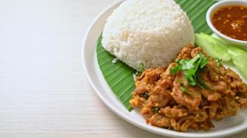 scharf gegrilltes Schweinefleisch mit Reis und scharfer Sauce nach asiatischer Art video