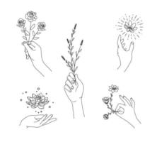 hand drawn of hand holding flower vector