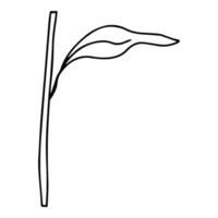 Doodle Lily. Elements of Lily leaves and buds. Hand drawn line drawing. Flowers isolated on a white background. For making a bouquet, for wedding invitations. Summer flowers. Vector