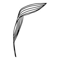 Doodle Lily. Elements of Lily leaves and buds. Hand drawn line drawing. Flowers isolated on a white background. For making a bouquet, for wedding invitations. Summer flowers. Vector