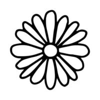 Daisy flower in the Doodle style . Black and white image isolated on a white background.Contour drawing.Vector illustration vector