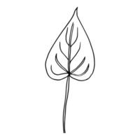 Calla flower contour line isolated on a white background. Set of black and white illustrations. Doodles. Elegant flowers for lovers, wedding, decoration, postcards. Vector