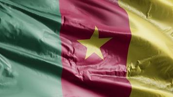 Cameroon flag waving on the wind loop. Cameroonian banner swaying on the breeze. Full filling background. 10 seconds loop. video