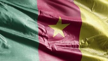 Cameroon textile flag waving on the wind loop. Cameroonian banner swaying on the breeze. Fabric textile tissue. Full filling background. 10 seconds loop. video