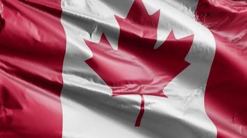 bandeira do canadá acenando lentamente no loop de vento. bandeira canadense balançando suavemente na brisa. fundo de preenchimento completo. Ciclo de 20 segundos. video