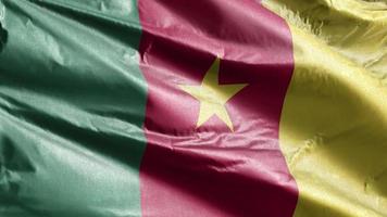 Kameroen textielvlag langzaam zwaaiend op de windlus. Kameroenese banner soepel zwaaiend op de wind. stof textiel weefsel. volledige vulling achtergrond. 20 seconden lus. video
