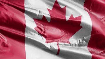 Canada flag waving on the wind loop. Canadian banner swaying on the breeze. Full filling background. 10 seconds loop. video