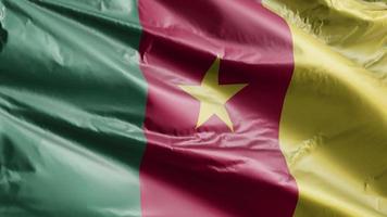 Cameroon flag slow waving on the wind loop. Cameroonian banner smoothly swaying on the breeze. Full filling background. 20 seconds loop. video