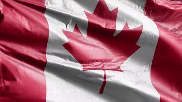 bandeira têxtil do canadá acenando lentamente no loop de vento. bandeira canadense balançando suavemente na brisa. tecido tecido têxtil. fundo de preenchimento completo. Ciclo de 20 segundos. video