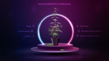 Medical benefits of marijuana, poster with podium floating in the air with bush of cannabis in a pot and ifographic of benefits. vector