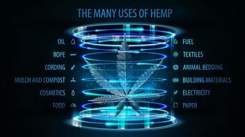 Many uses of hemp, dark poster with blue neon digital portal in cylindrical shape with hologram of hemp leaf inside and infographic of uses of hemp vector