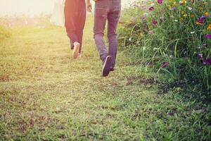 Young couple walking in the cosmos field photo