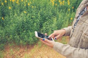 Young woman hands using mobile smart phone in the flowers field. photo