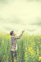 praying man standing in yellow flower field on mountain view background. photo