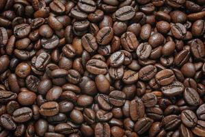 Freshly roasted coffee beans photo