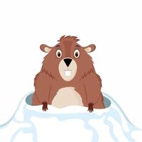 Groundhog Day. Funny and happy groundhog looks out of his snow hole. Vector illustration isolated on a white background.