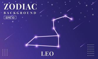 Zodiac Leo background at night with beautiful shooting star and stars ornaments. Perfect for copybook brochures, school books, Notebook paper, book, magazine template. vector