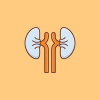 kidney Vector illustration on a background. Premium quality symbols. Vector Line Flat color  icon for concept and graphic design.