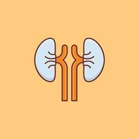 kidney Vector illustration on a background. Premium quality symbols. Vector Line Flat color  icon for concept and graphic design.