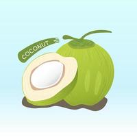 illustration coconut. Isolated background, vector