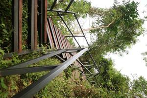 unique steep stairs in a park photo