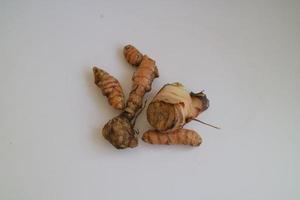 brown galangal for cooking or seasoning photo