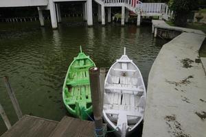 White and green wooden boat on the edge of the swamp photo