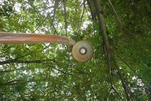 farola bajo el arbol foto