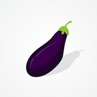 Flat design purple eggplant illustration on isolated background vector