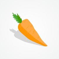 Flat design carrot illustration on isolated background vector